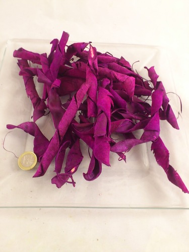 Velvet bean 100 gr.  fuchsia